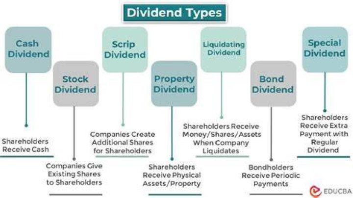 Are dividend checks considered income?