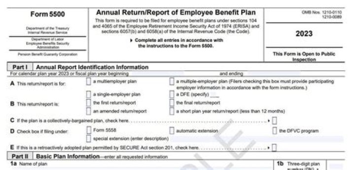 Are Form 5500 filings public information?