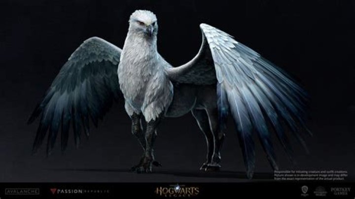Are Hippogriffs only in Harry Potter?