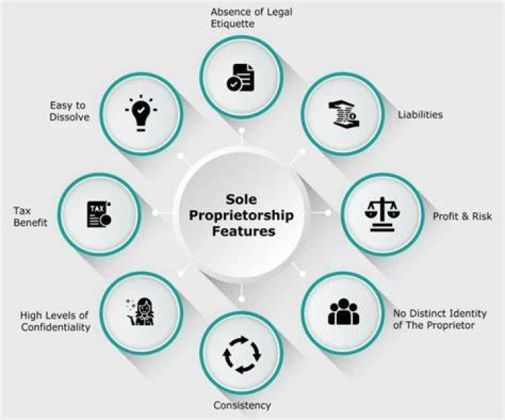 Are insurance agents sole proprietors?