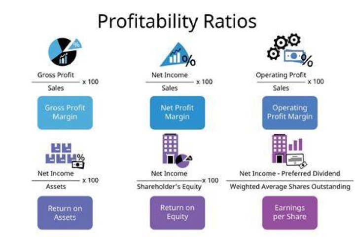 Are profitability ratios distorted by inflation?
