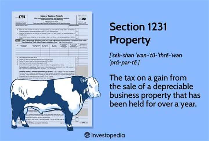 Are section 1231 losses deductible?