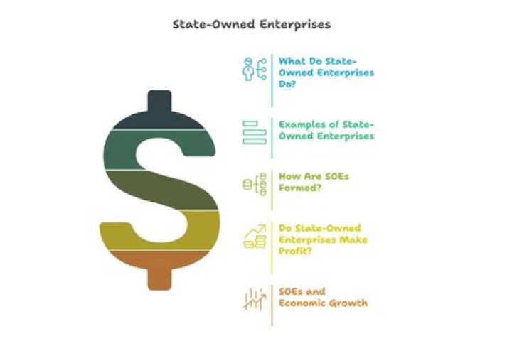 Are state owned enterprises for profit?