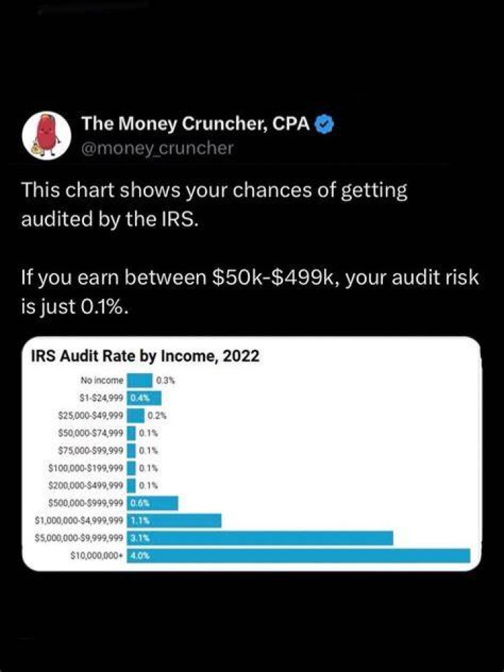 Are you less likely to get audited if you use a CPA?