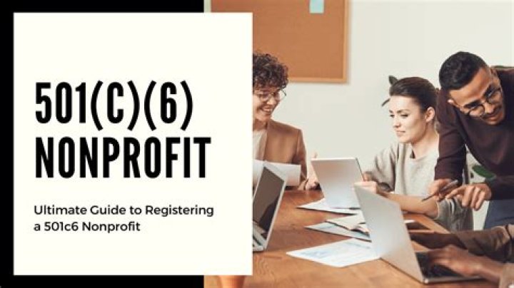 Can a 501c6 make a profit?