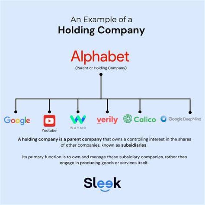 Can a holding company own 100%?