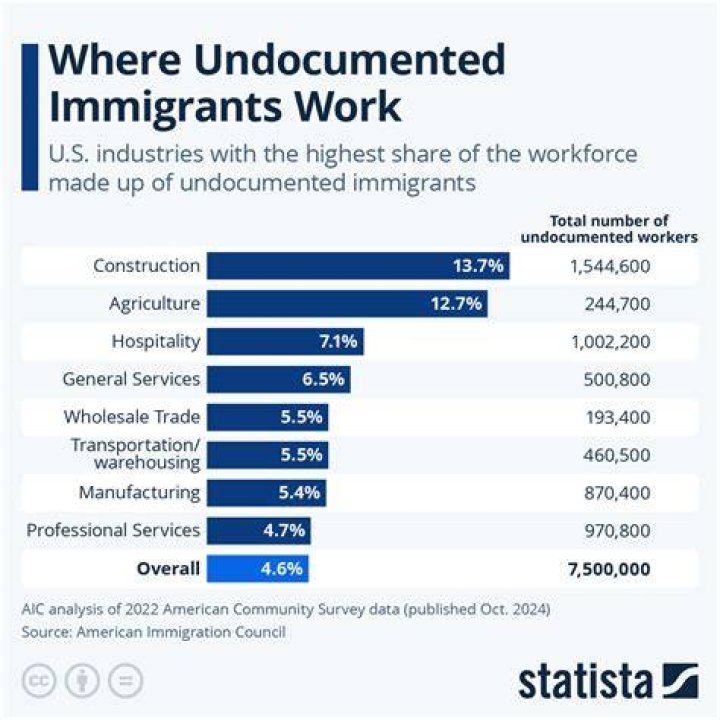 Can a non immigrant start a business in USA?