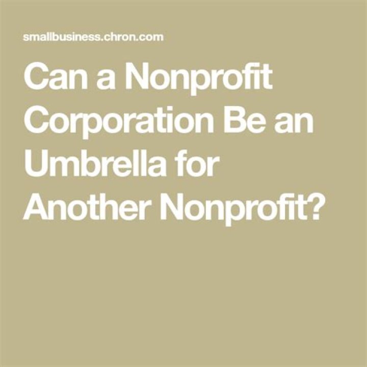Can a nonprofit corporation be an umbrella for another nonprofit?