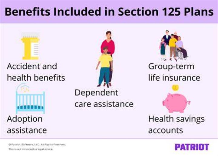 Can a section 125 plan offer a health savings account?