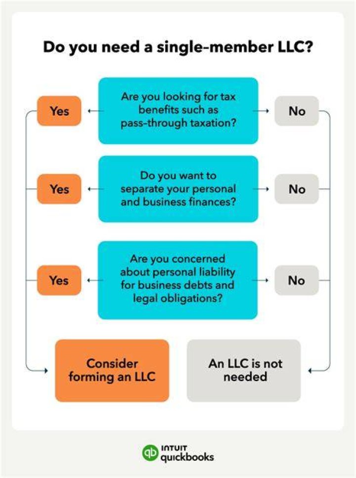 Can a single member LLC issue stock?
