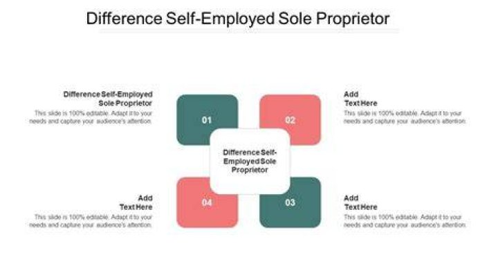 Can a sole proprietor be a self employed?