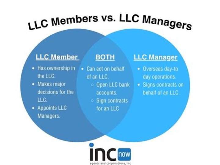 Can an LLC have a shareholder?