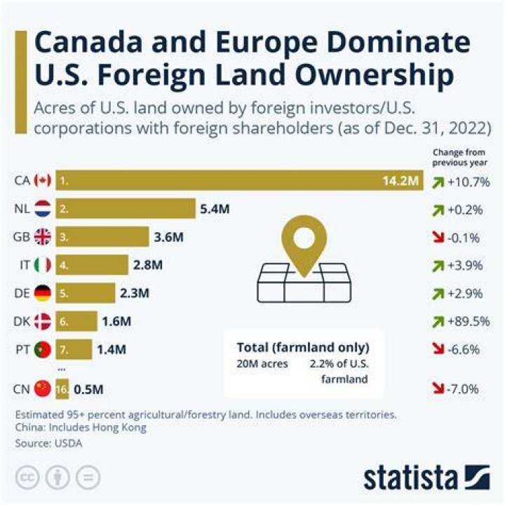 Can C corporations have foreign ownership?
