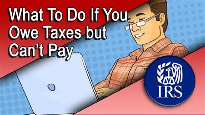 Can I pay taxes I owe early?