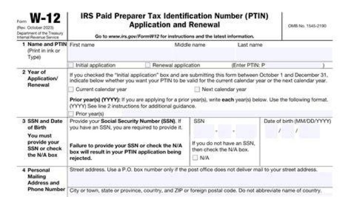 Can I prepare taxes with a PTIN?