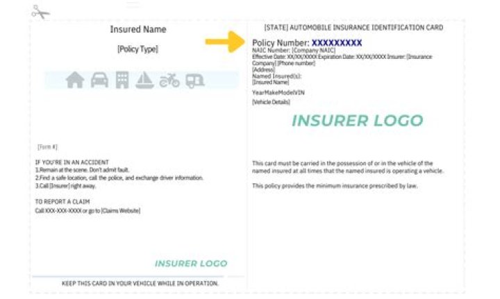 Can I take insurance for my brother?