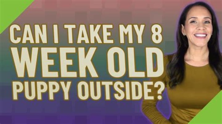 Can I take my 8 week old puppy outside?