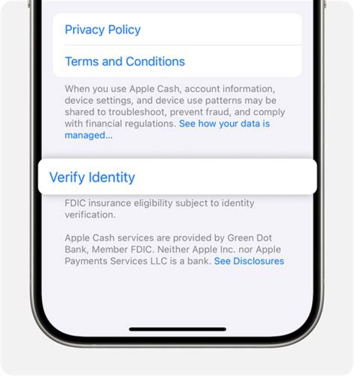 Can I verify my car insurance online?