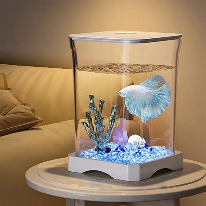 Can I write off a fish tank for my office?