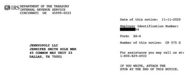 Can IRS be after LLC owner?