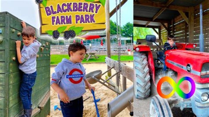 Can kids go to Blackberry Farm?