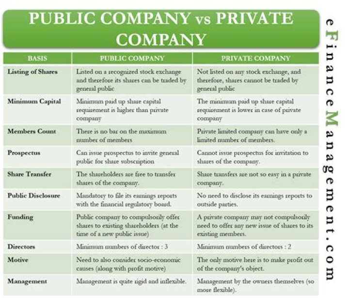 Can public company buy private company?