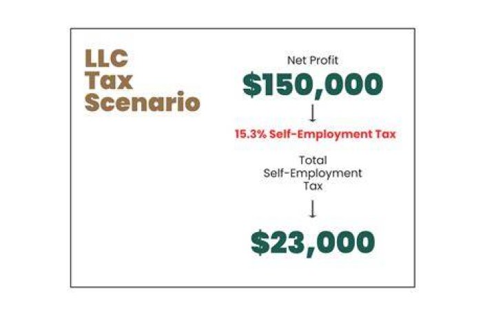 Can S-Corp be self-employed?