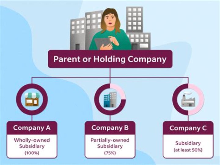 Can S corps be holding companies?