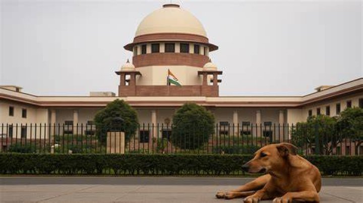 Can the Supreme Court suo moto?