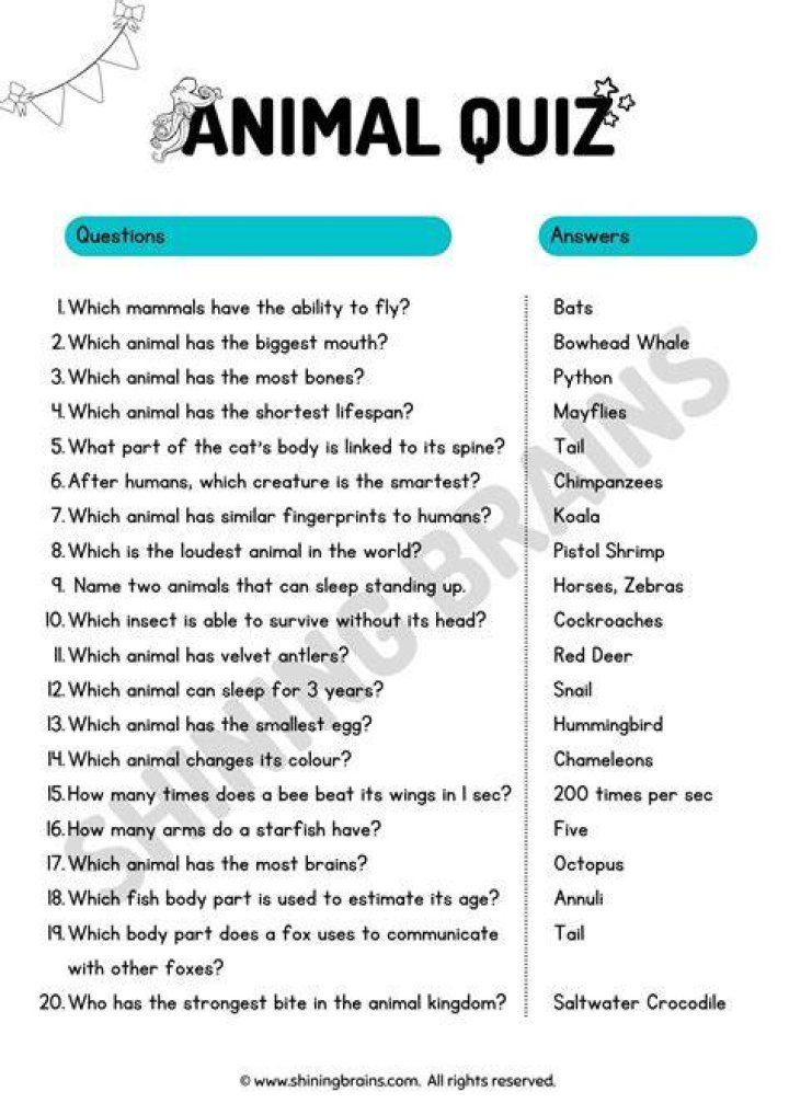 Can tutors help with quizzes?