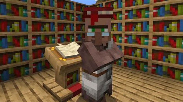 Can we do librarian after 12th?