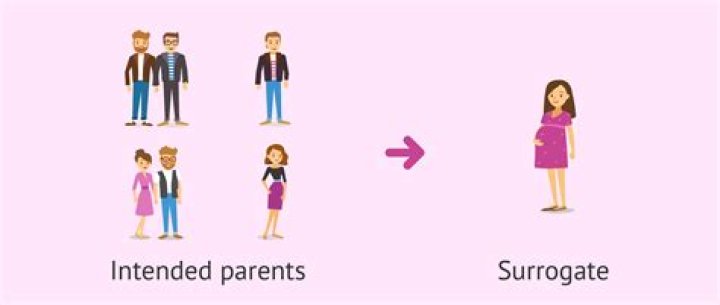 Can you be a surrogate mother for free?