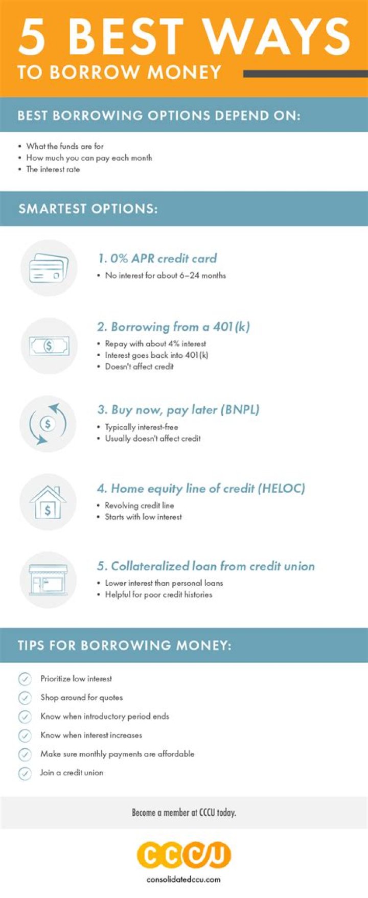 Can you borrow money to buy auction house?