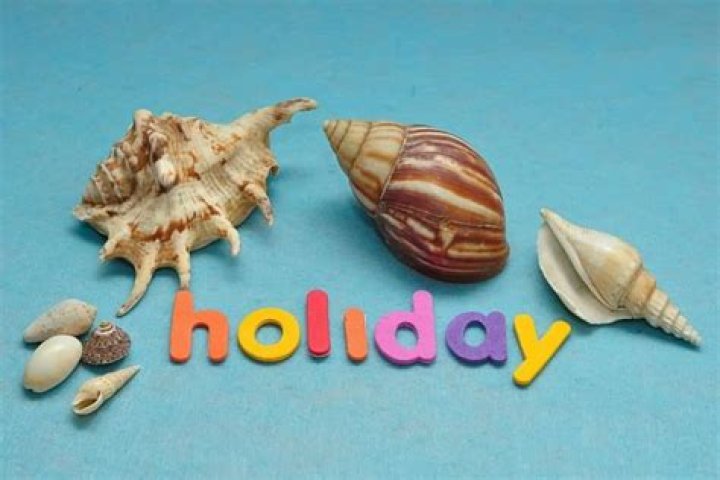 Can you bring seashells through customs?