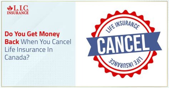 Can you cancel a life insurance policy and get money back?