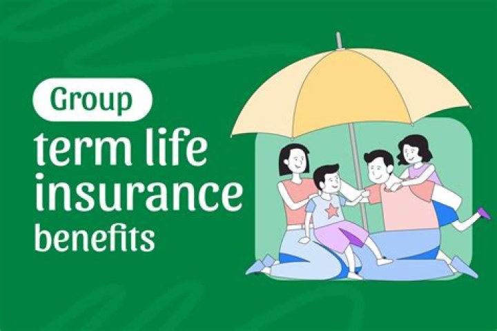 Can you get money back from a term life insurance policy?