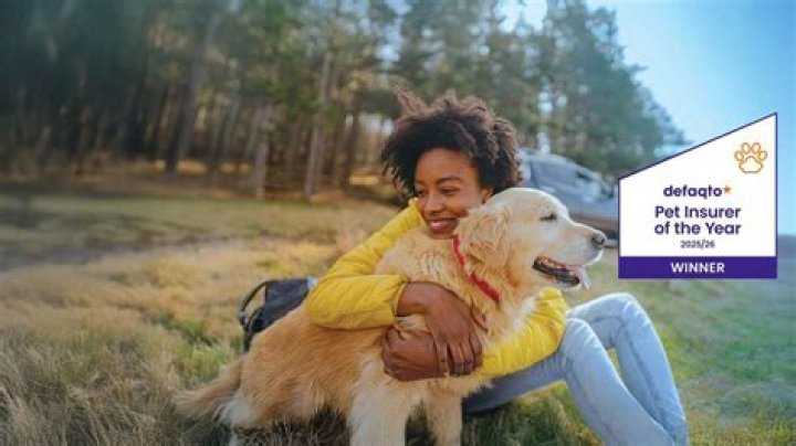 Can you insurance breeding dogs?