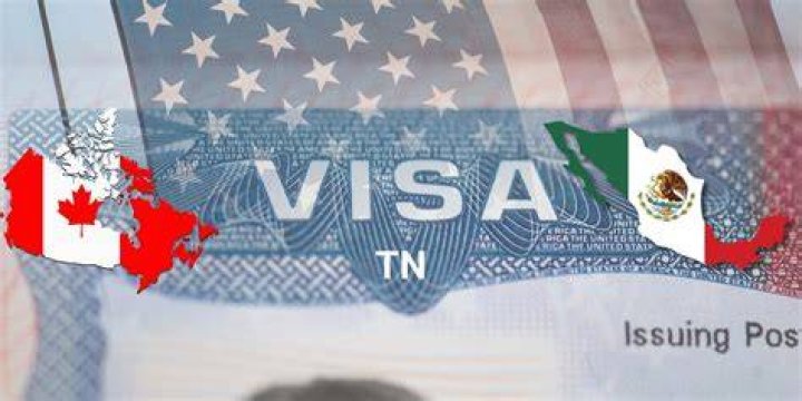Can you leave the US on a TN visa?