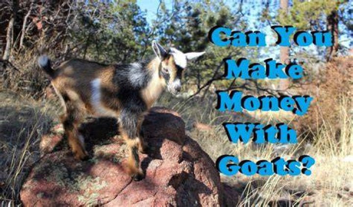 Can you make a living off of a small farm?