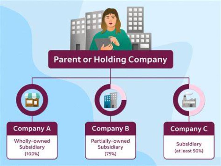 Can you own a company but not be the CEO?