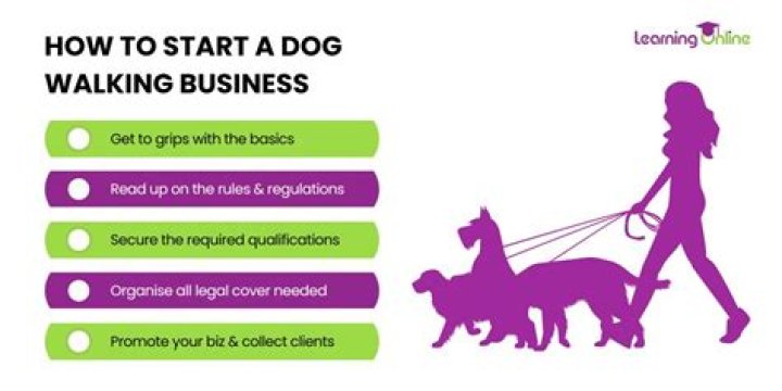 Can you start a dog walking business at 13?