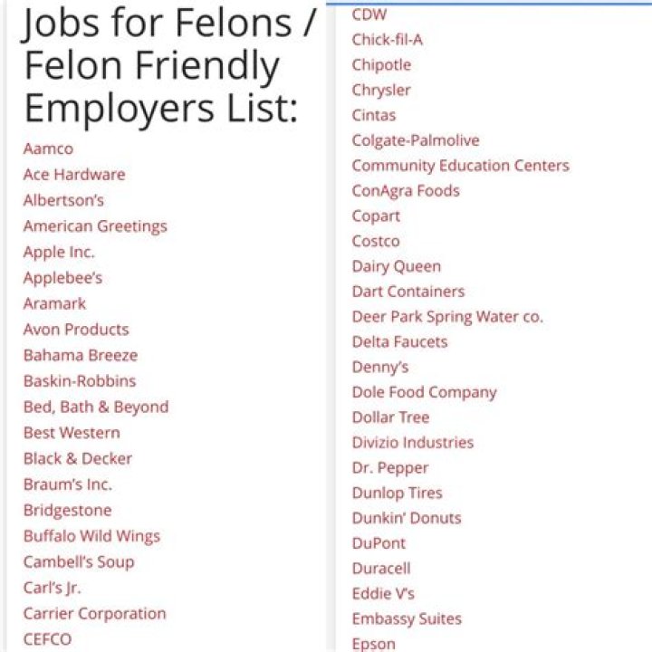 Can you work for the city of Houston with a felony?