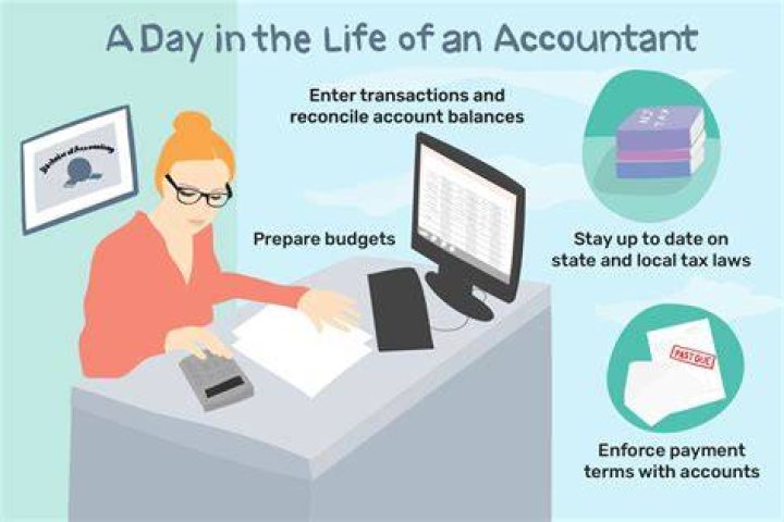 Do accountants work with the public?