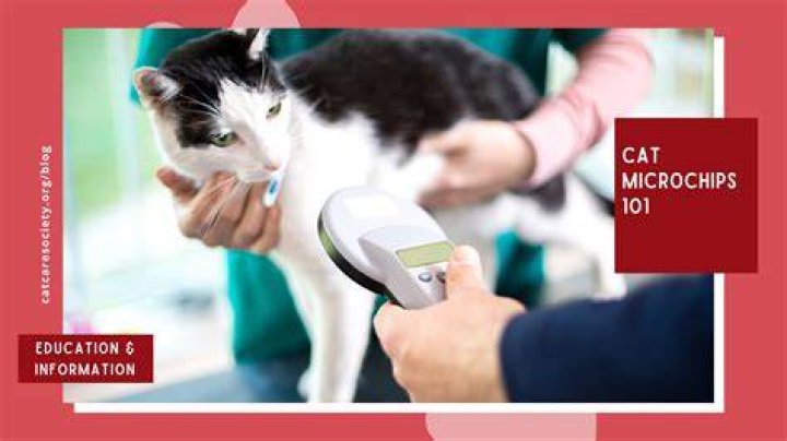 Do all microchips have gold in them?