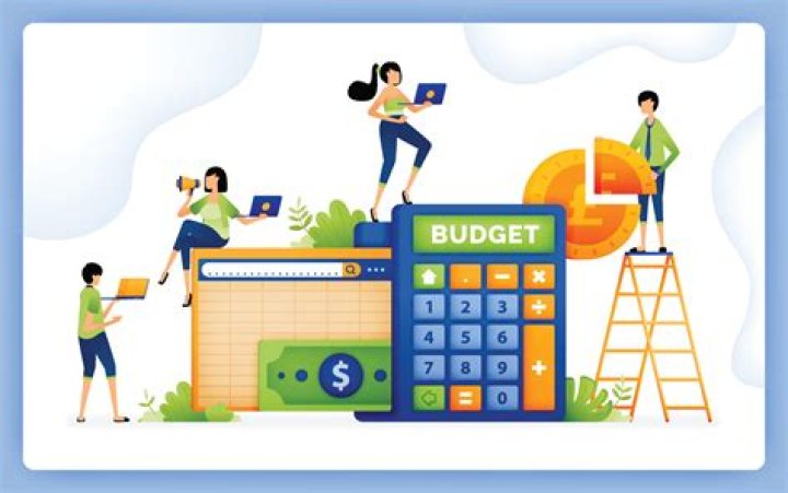Do companies use budgets?