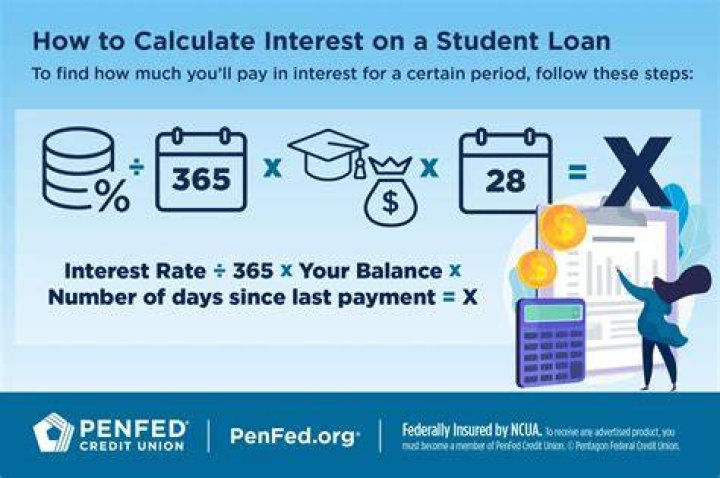 Do demand loans have interest?