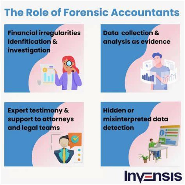 Do Forensic accountants do taxes?