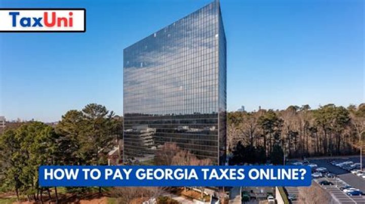 Do Georgia pay federal taxes?