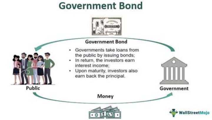 Do government bonds have default risk?