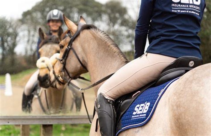 Do horse trainers need insurance?